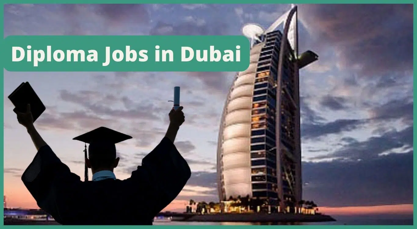 diploma jobs for freshers in dubai